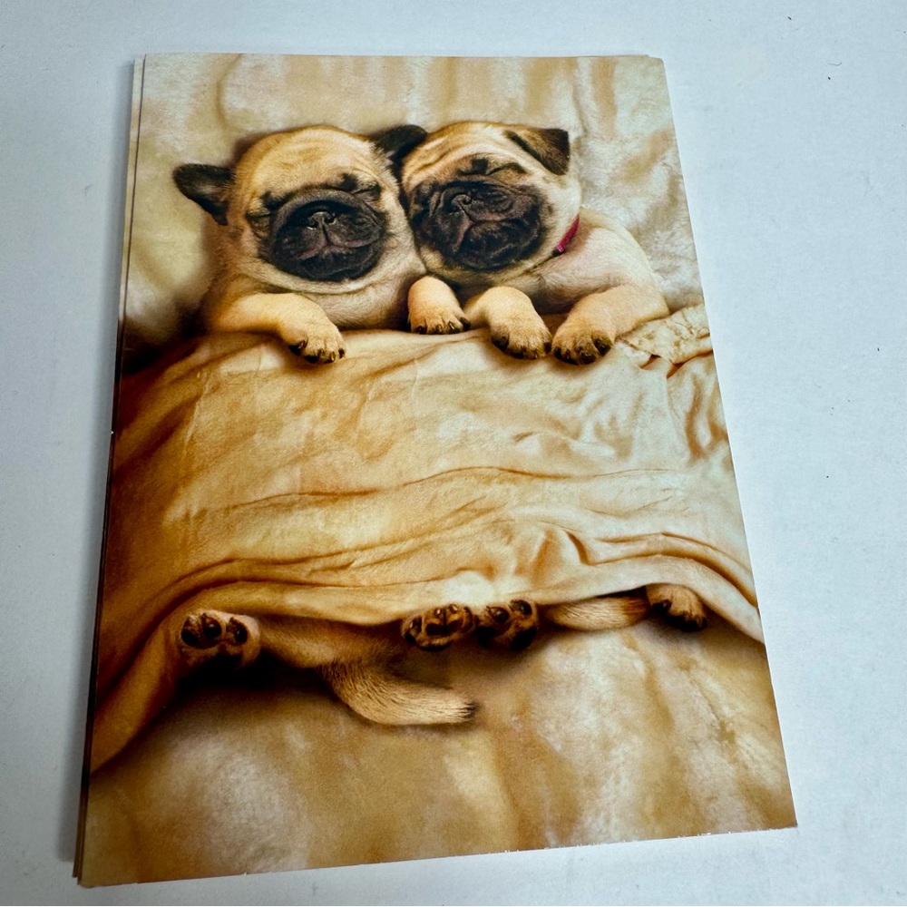 8 Avanti Greeting cards - Pug dogs in bed
Holiday: Valentine’s Day